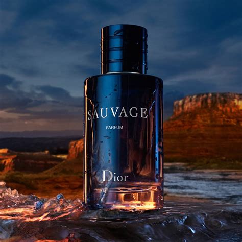 dior sauvage parfum bewertung|dior sauvage 100ml best price.